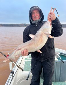 Great haul for cold water catfishing.