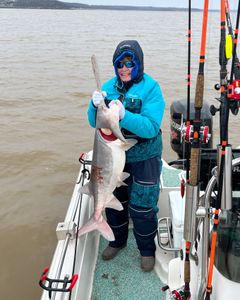 Anglers fishing in Mannford