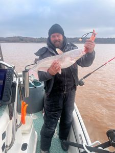 Icy blue catfish on a cold morning!