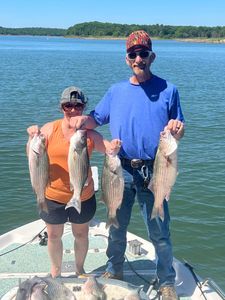 4 wiper (hybrid striped bass), striped bass fish caught in OK