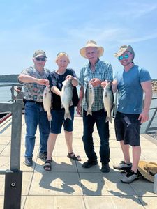 3 white bass and wiper fish caught in Mannford