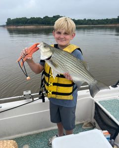 Wiper (Hybrid striped bass) caught in OK