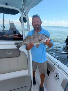 Black drum fish caught on fishing boat in Mannford OK waters