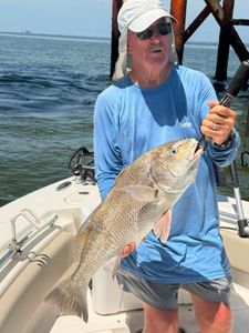 Black drum catch on fishing boat in Mannford Oklahoma waters