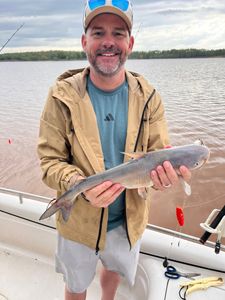 Blue catfish catch on fishing boat in Mannford OK