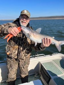 Blue catfish catch from Mannford OK fishing trip on boat