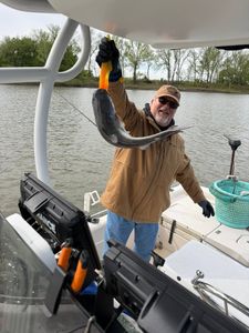 Angler holding caught catfish on fishing boat in Mannford OK
