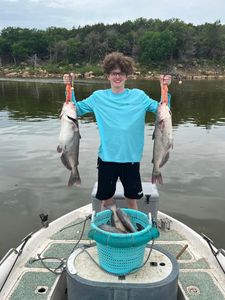 Two blue and white catfish caught in Mannford