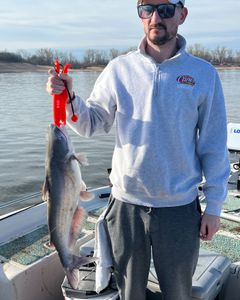 Channel catfish caught in Mannford