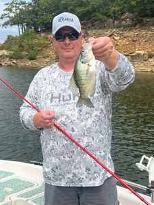 Solid crappie catch near rocky shoreline