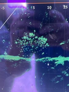Loaded crappie school on sonar