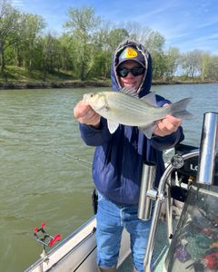 Fisherman with a white bass fish in OK