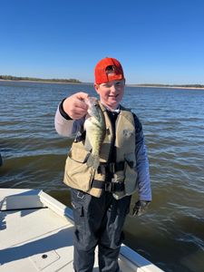 A single white crappie fish caught while fishing in OK