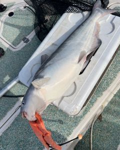 Fishing in Mannford