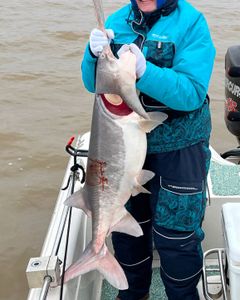 Fishing in Mannford, Oklahoma