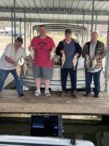 4 white bass fish caught in OK