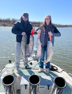 Impressive catch of 3 blue and white catfish in Mannford