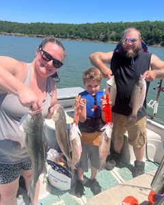 5 wiper and striped bass caught fishing in Mannford
