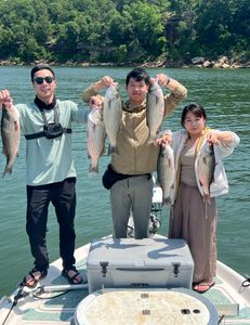 Wiper (Hybrid striped bass) and other fish caught while fishing in OK