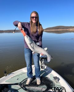 Lone angler fishing in OK