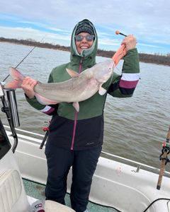 A blue catfish fishing catch in Mannford