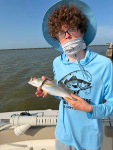 Squeteague fish caught while fishing in Mannford OK