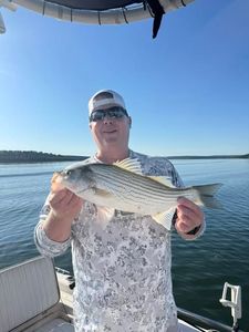 Striped bass catch displayed on fishing boat in Mannford OK