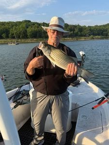 Striped bass catch displayed on fishing boat in Mannford OK