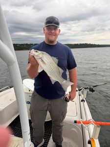Angler holding caught striped bass on fishing boat in Mannford OK