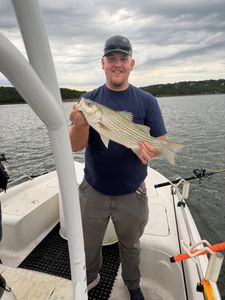 Striped bass catch on fishing boat in Mannford OK