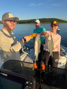 Successful striped bass fishing trip on boat in Mannford OK with multiple fish caught