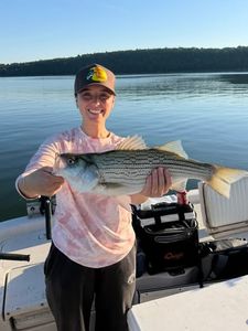 Striped bass catch displayed on fishing boat in Mannford OK