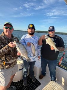 Three anglers displaying freshly caught striped bass on fishing boat in Mannford OK
