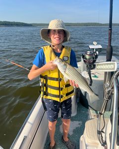 Striped bass caught while fishing in OK