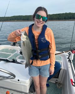 Striped bass caught while fishing in Mannford