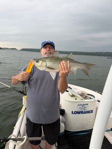 Angler holding striped bass catch on fishing boat in Mannford OK