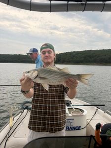Striped bass caught while fishing on boat in Mannford OK