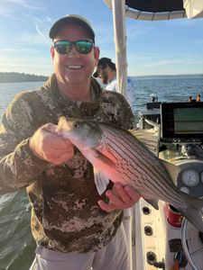 Striped bass caught while fishing in Mannford OK