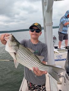 Striped bass caught while fishing in Mannford OK