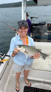 Striped bass caught while fishing on boat in Mannford OK