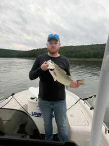 Angler holding caught striped bass on boat at lake in Mannford OK