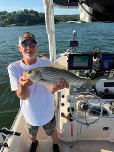 Angler holding striped bass on fishing boat in Mannford OK