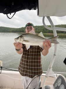 Striped bass caught while fishing on boat in Mannford OK