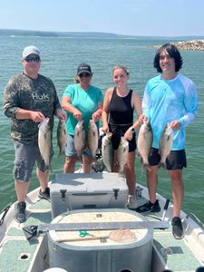 8 striped bass and wiper hybrid fish caught in Mannford