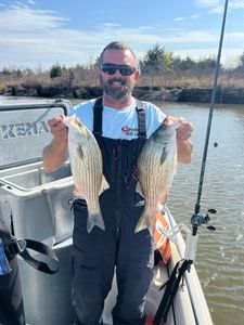 Two striped bass and wiper (hybrid striped bass) caught in Mannford
