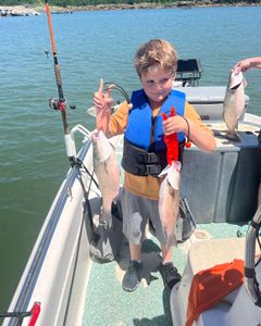 3 wiper, striped bass, and striped bass catch in Mannford