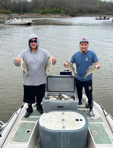 3 white bass caught in Mannford