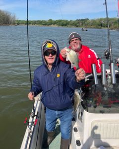 Two white bass fish caught in OK