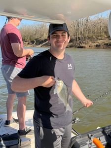 White bass caught while fishing in Mannford OK