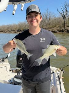 Two white bass caught while fishing in Mannford OK
